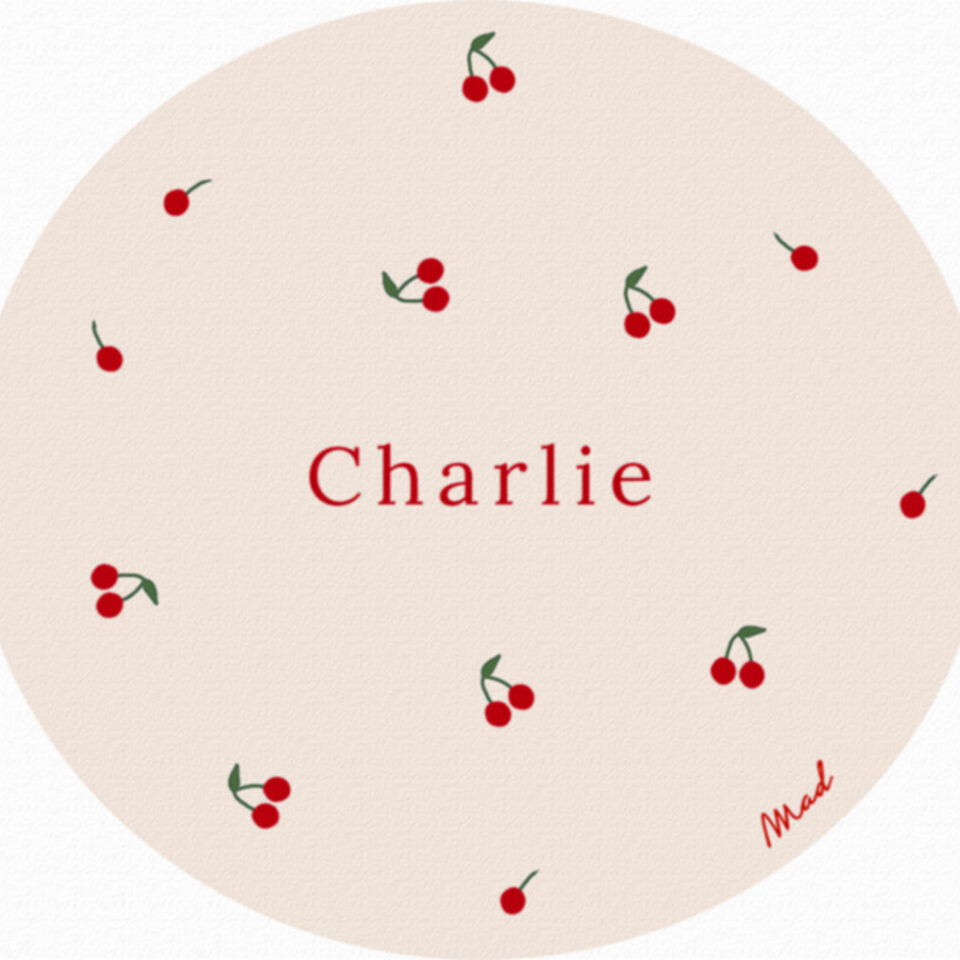 2025 MINIMAGIC 100x100 CHARLIE